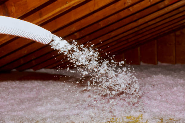 Best Crawl Space Insulation  in West Haven, UT